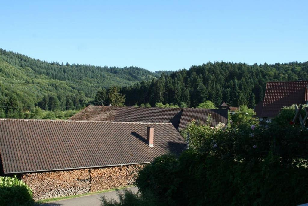 Ferienwohnung Hoehner Gengenbach Exterior photo